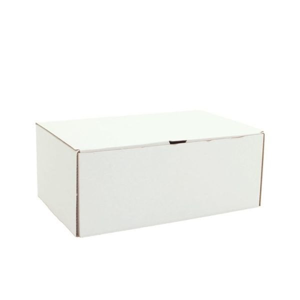 25x16x10 cm Kesimli Kurmalı E-Ticaret ve Kargo Kutusu