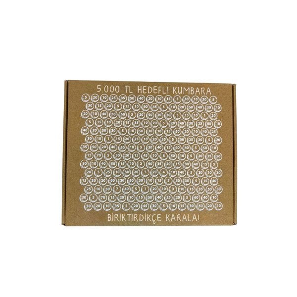 5 Bin TL Hedefli Kumbara 27,5x22,5x7,5 Cm