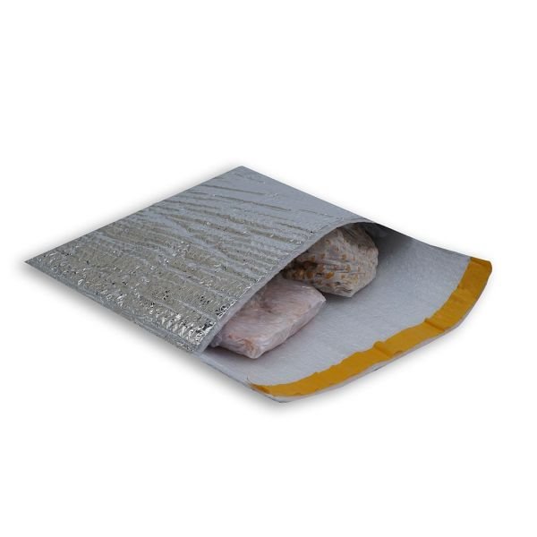 55x35x5 cm Soğuk Zincir Torbası 500