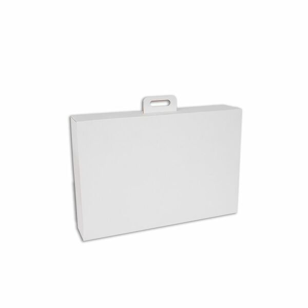40x22x16 cm Beyaz Çanta Tipi İnternet ve Kargo Kutusu Beyaz - 100
